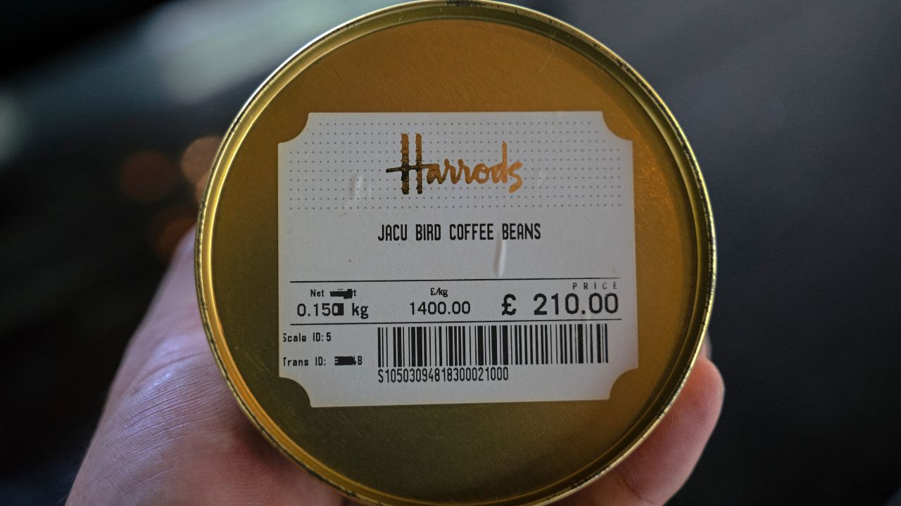 El lujoso café brasileño extraído de los excrementos de un pájaro