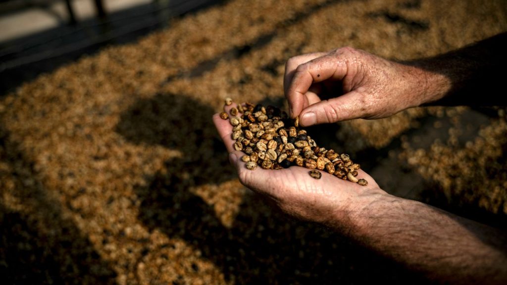 Imagen de cuerpo de nota