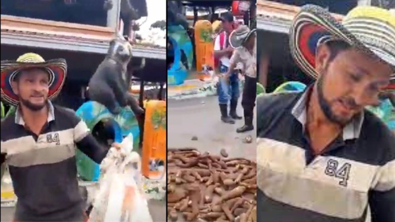 'Llévenla', vídeo capta a campesino regalando yuca, porque nadie le compró