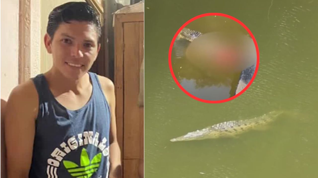Vídeo capta a cocodrilo con cadáver de joven entre sus colmillos