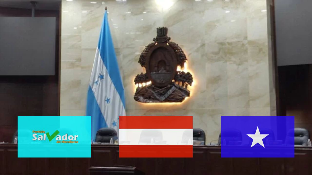 Congreso Nacional: Diputados de oposición podrían autoconvocarse en los próximos días