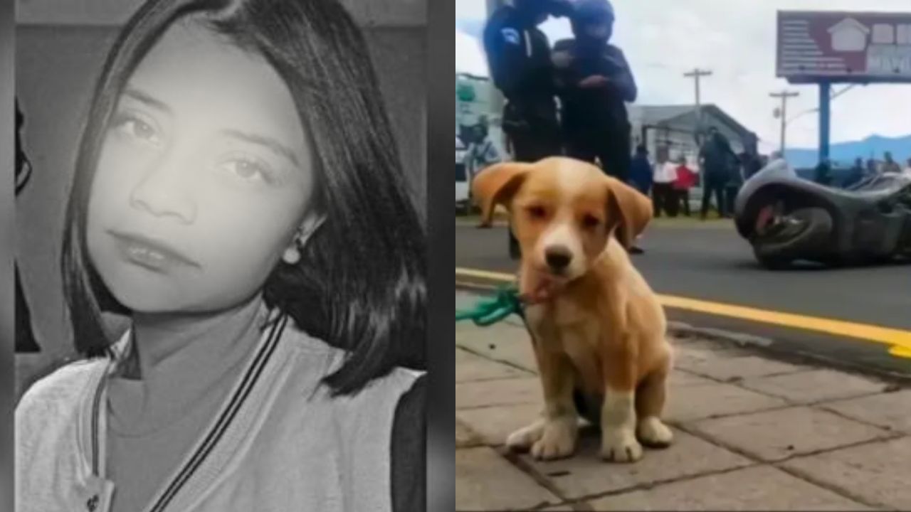Imagen de Así era Débora Abigail Reynosa, joven que murió embestida y que no fue abandonada por su perrito