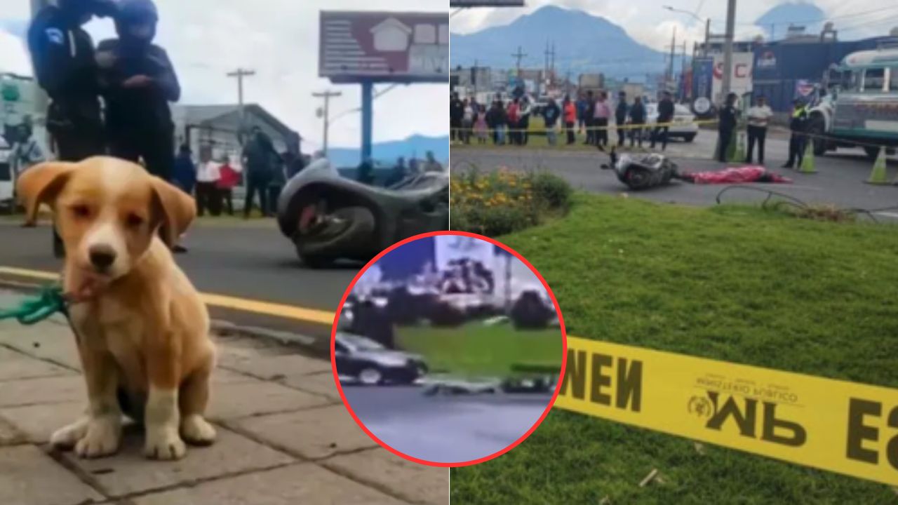 Débora Abigail video captado: joven motociclista falleció embestida por un camión; su perrito no la abandonó