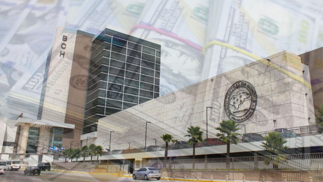 Regulación de compra de divisas es por implementación de modelo incorrecto, según experto