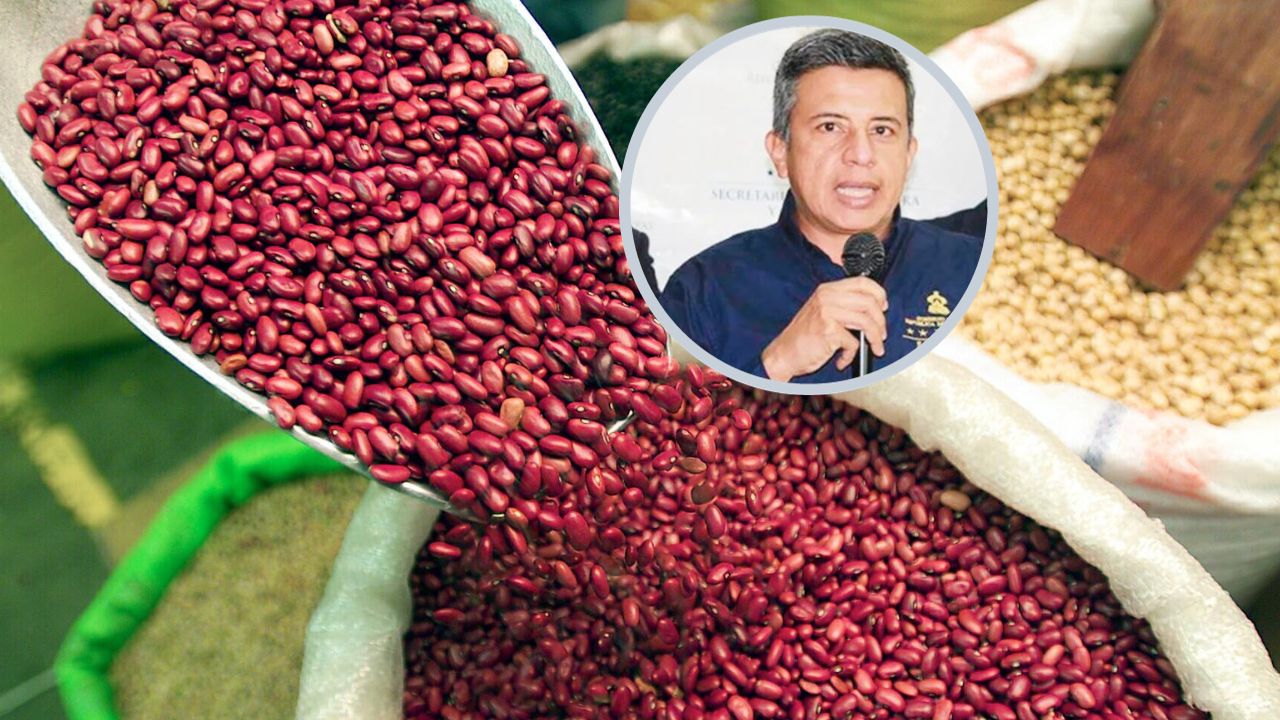 Honduras tiene un déficit de 11 millones de quintales de maíz  blanco y una producción récord del frijol: Fenagh
