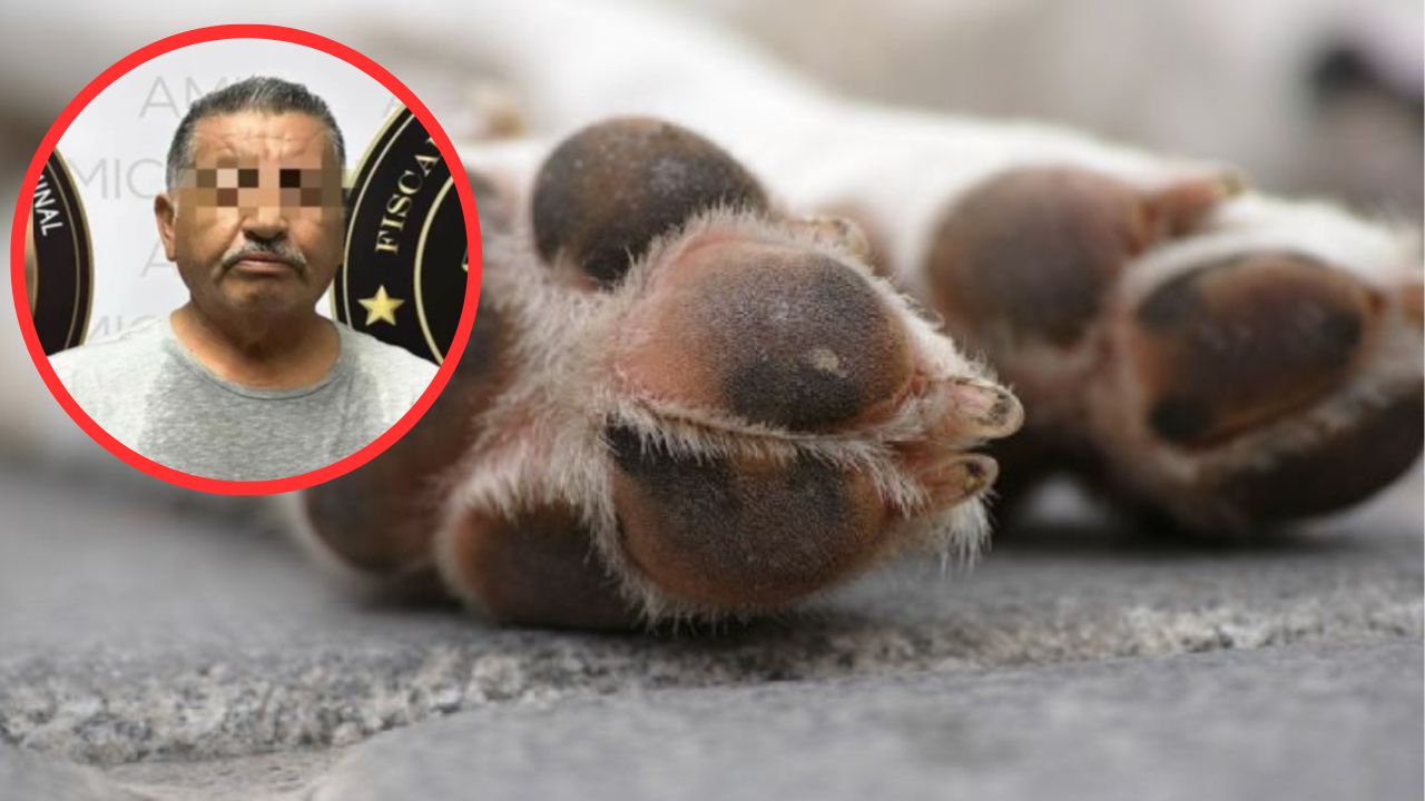 ¿Qué pasó con el hombre que apuñaló y dejó ciego al perrito Rirry?