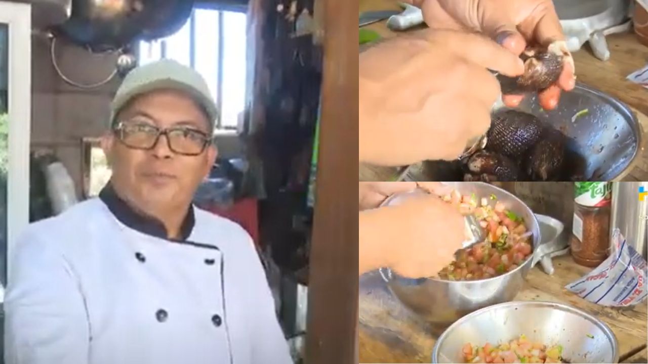 Imagen de 'He podido pagar la educación de mis hijas': hondureño mantiene su hogar vendiendo curiles