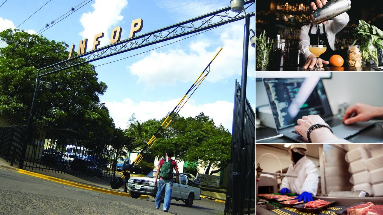 Infop anuncia más de diez cursos gratuitos que se realizarán en octubre: así puedes inscribirte