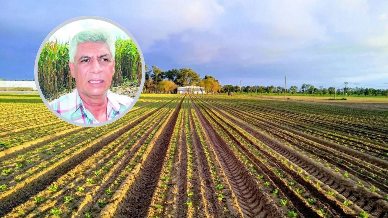 Imagen de Pograno aboga por ley que prohíba la venta de tierra agrícola para ser urbanizada
