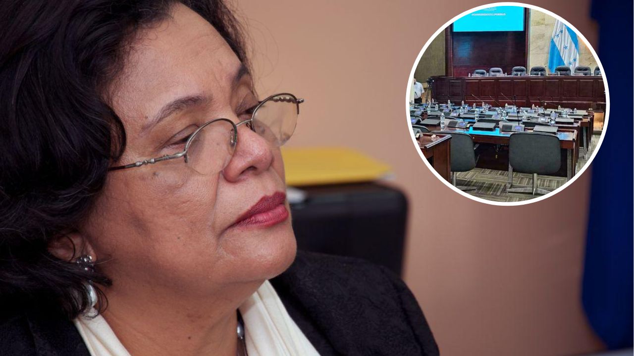 'Mientras continúe la corrupción, seguirán las confrontaciones entre sectores': Julieta Castellanos