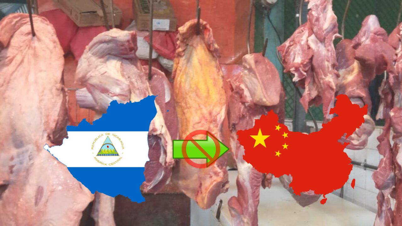 Nicaragua prohíbe el destace de carne para exportaciones hacia China