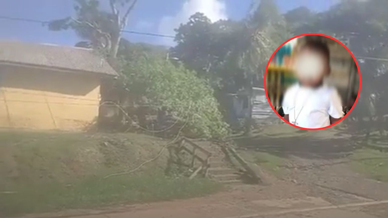 En pleno Día del Niño, un infante pierde la vida tras caerle un árbol en Roatán