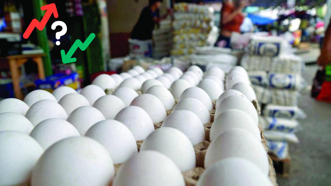 Precio del cartón de huevos se mantiene este fin de semana en Tegucigalpa y San Pedro Sula