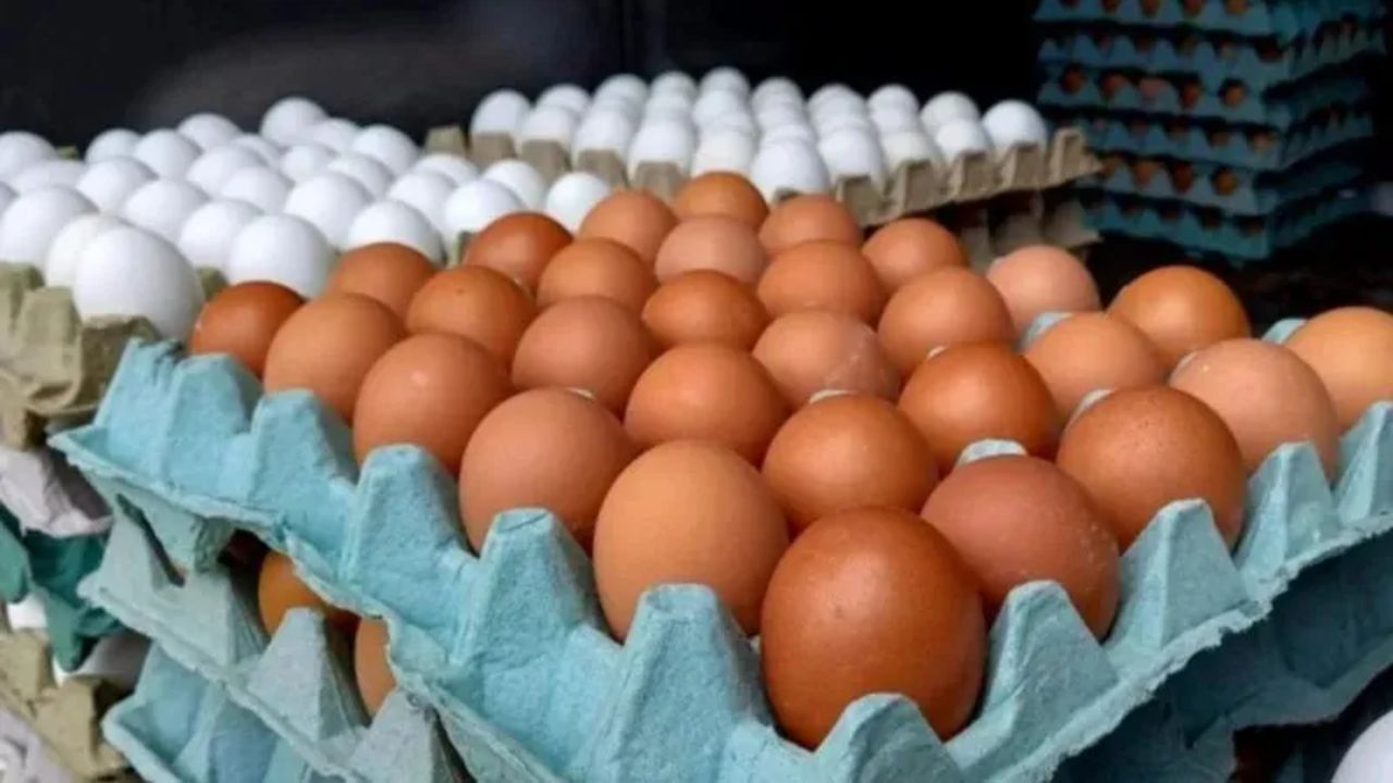 Sube entre L 5 y L 25 el precio de los huevos en Tegucigalpa y SPS