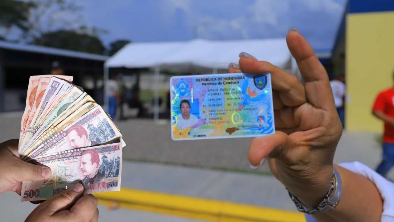 ¿Ocupas tramitar la licencia de conducir? Estos son los precios de cada permiso