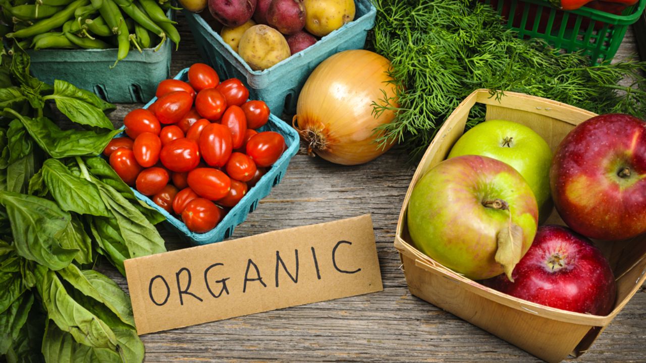 ¿Cómo comercializar eficazmente productos ecológicos? Siga estos sencillos pasos