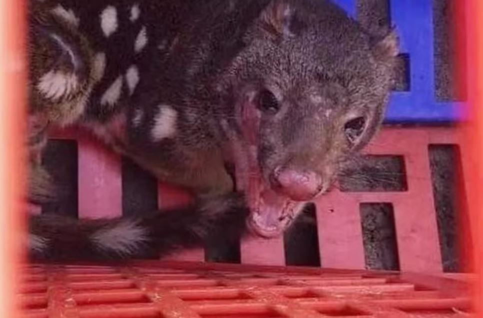 Imagen de cuerpo de nota