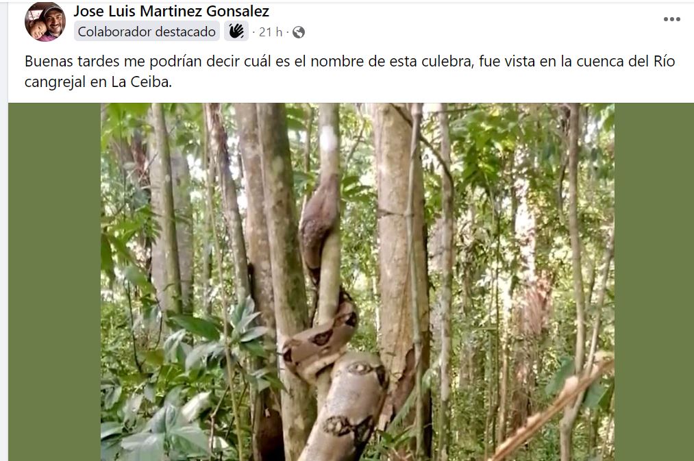 Imagen de cuerpo de nota