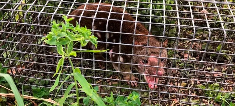 Imagen de cuerpo de nota