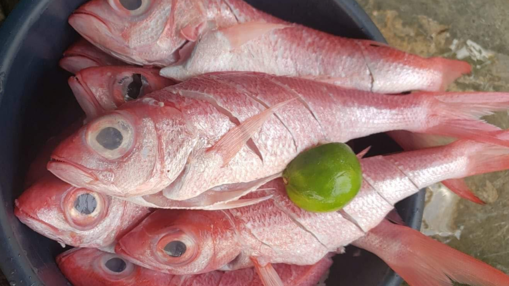 Imagen de cuerpo de nota