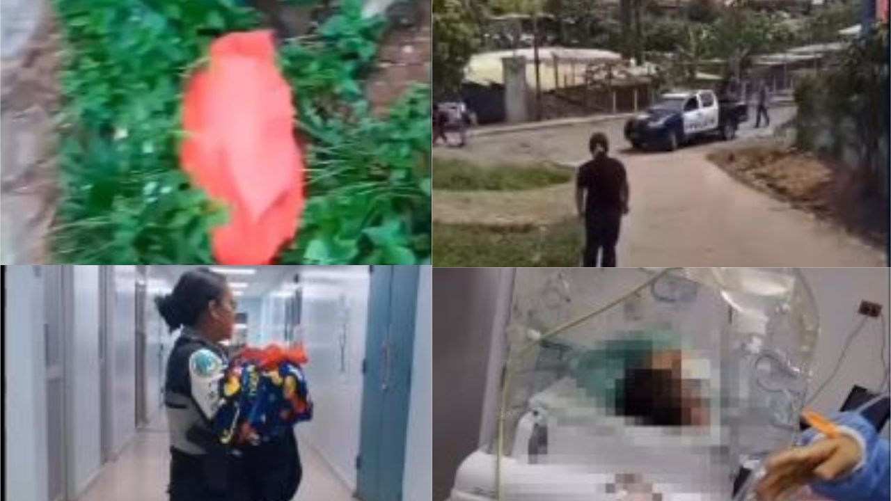 Pese al llanto de bebé abandonada en bolsa plástica, vecinos optaron por grabar en vez de ayudar