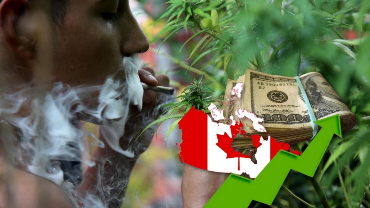 Más de $11,000 millones de ganancias obtiene Canadá tras legalización del cannabis
