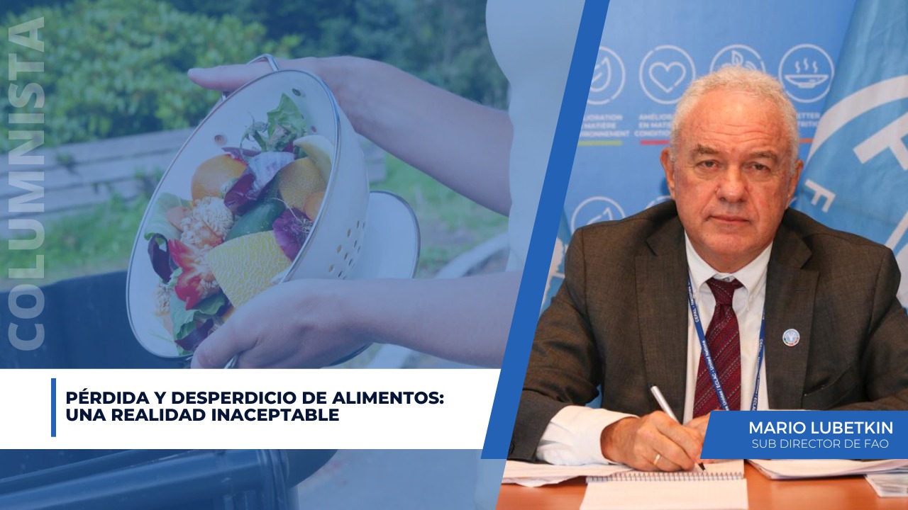 Pérdida y desperdicio de alimentos: una realidad inaceptable