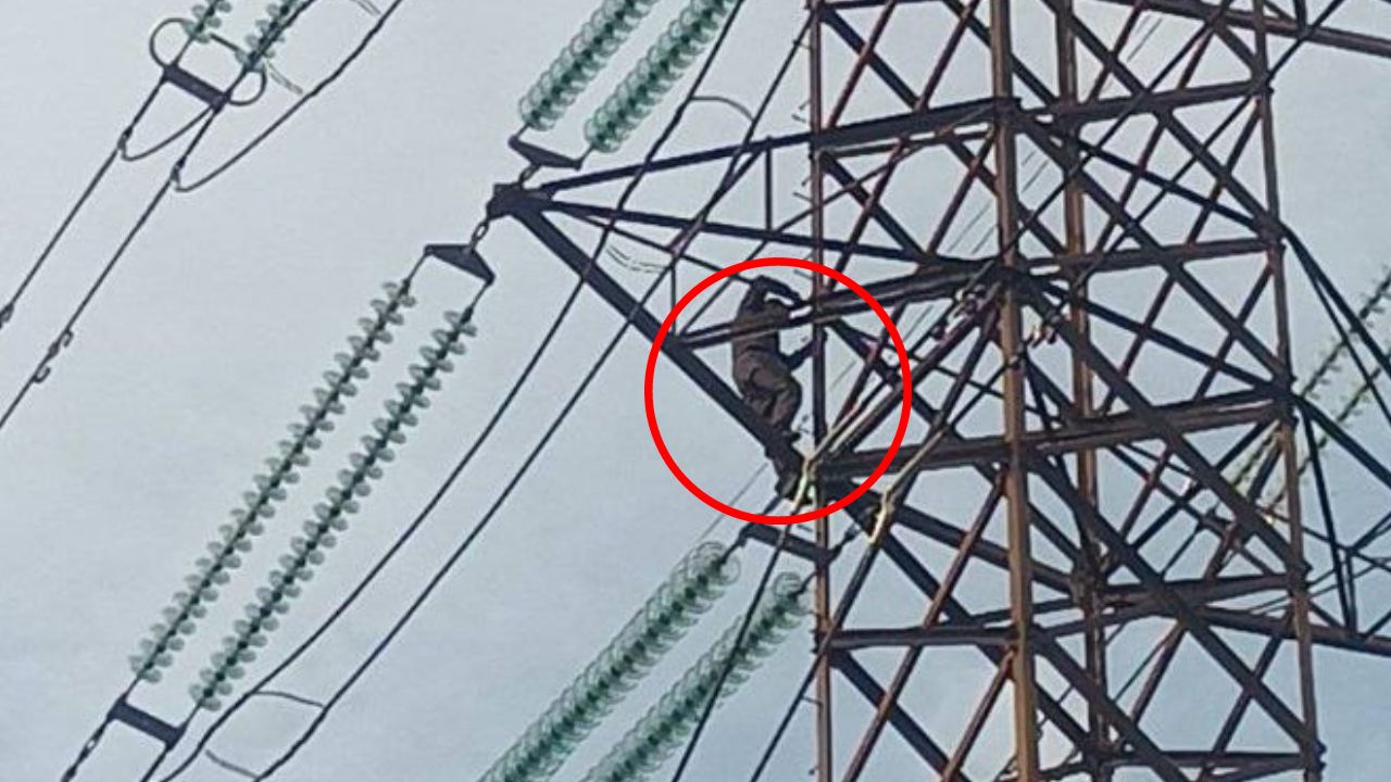 VIDEO: Hombre escaló una torre eléctrica después de ser rechazado de un trabajo