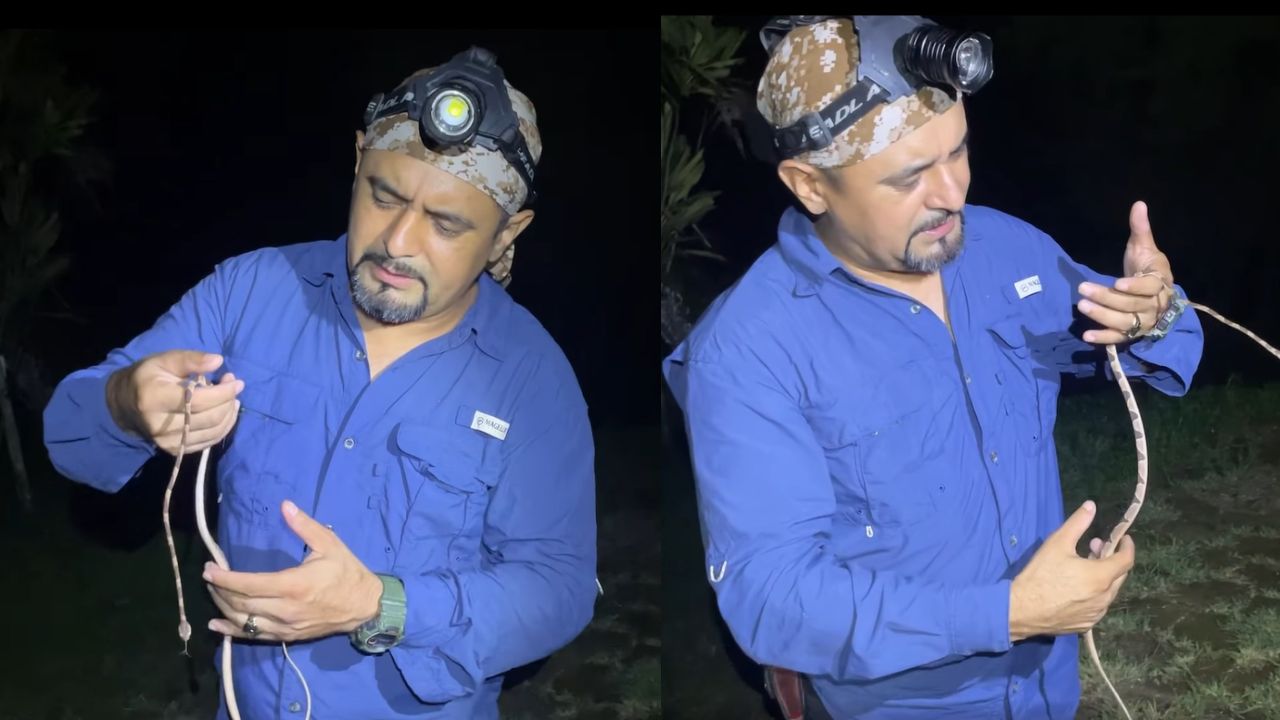 'No les tengan miedo': hondureño pide a la gente que trabaja en el campo no matar a las culebras