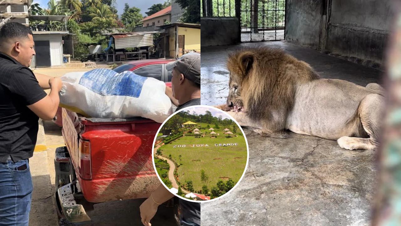 ¡De buen corazón! Pobladores compraron alimentos para los animales del zoológico de Joya Grande