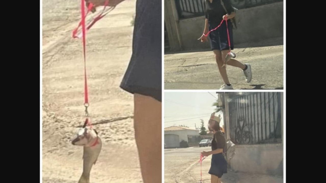 ‘Le hubiera resultado mejor en el sartén’, joven pasea un pez como mascota en plena plaza