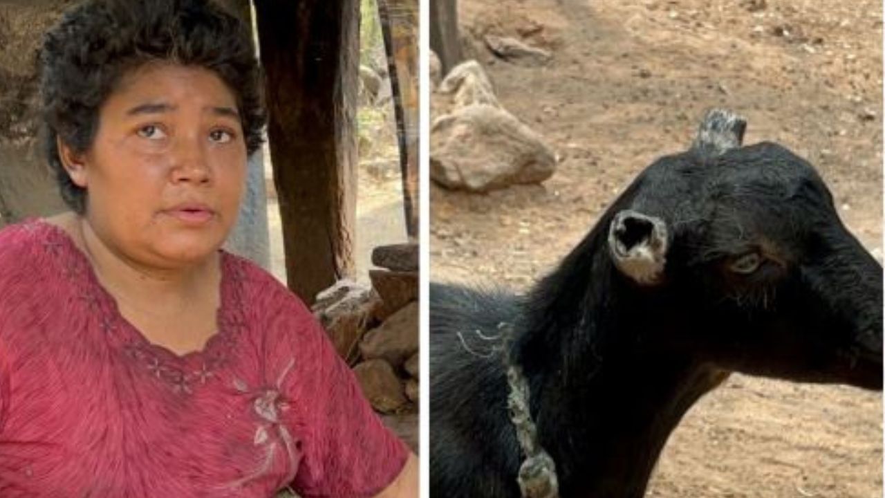 'Gatos, pollos, ratones y hasta orejas de cabras', las víctimas de mujer que come animales vivos