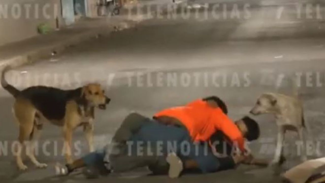 ‘Por un pedazo de cartón', dos jóvenes se pelearon en vía pública en Tegucigalpa