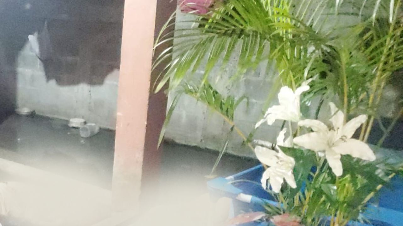 Matan a tres personas cuando disfrutaban en una piscina inflable dentro de una casa en San Pedro Sula