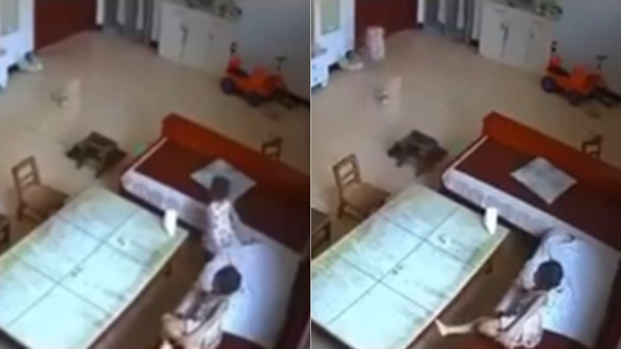 'No debiste abrir la puerta niña' Twitter video original, ¿de qué trata la grabación?