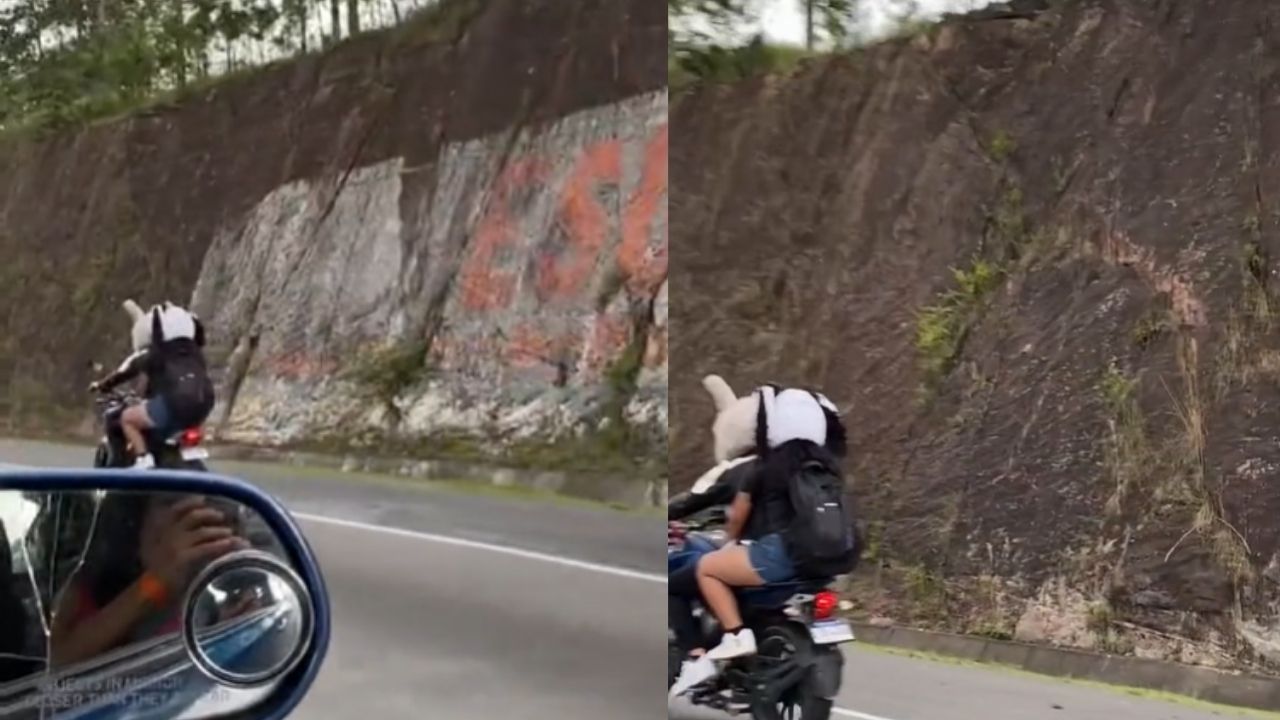 'Cansada de ser espectadora': graban a pareja hondureña con cascos en forma de animales en la carretera