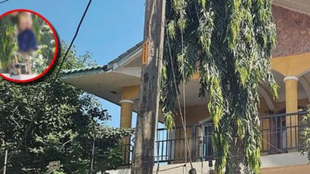 Video capta descarga eléctrica que mató a hondureño cuando podaba un árbol