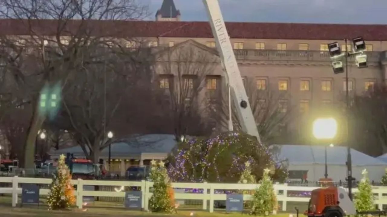 Un fuerte viento derriba el árbol de Navidad de la Casa Blanca