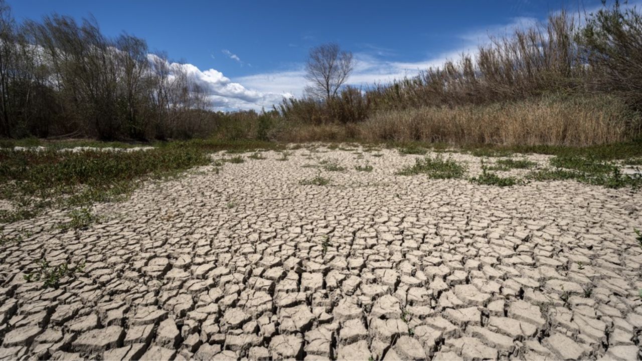 Avances reales, pero lentos, en la lucha contra el cambio climático