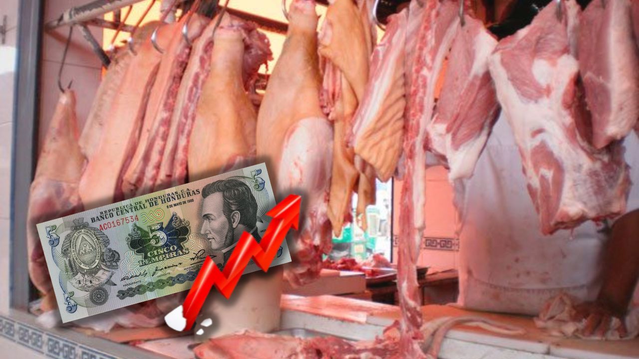 L 5 aumenta la libra de carne de cerdo en mercado capitalino