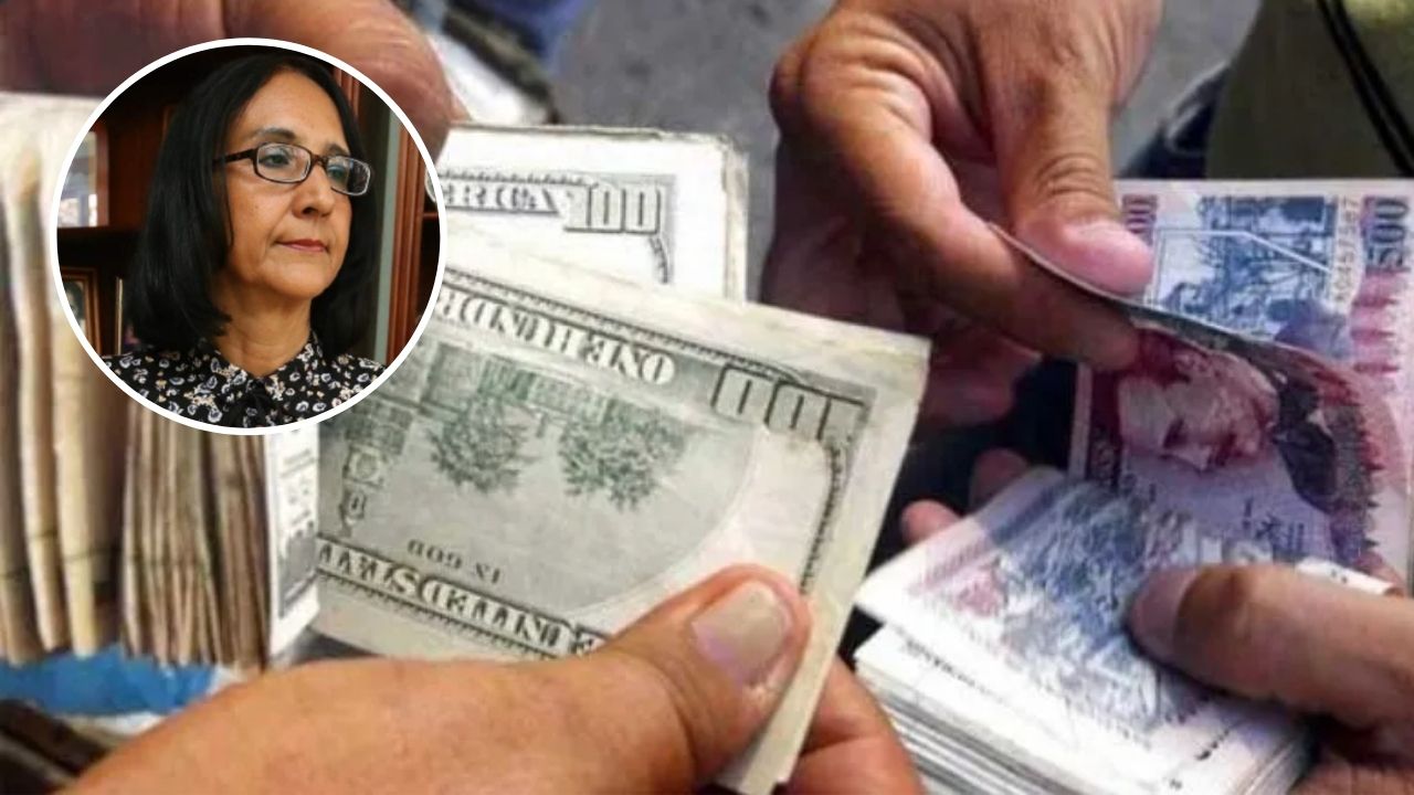 Imagen de Gobierno toma dólares de las reservas internacionales para venderlos: Liliana Castillo