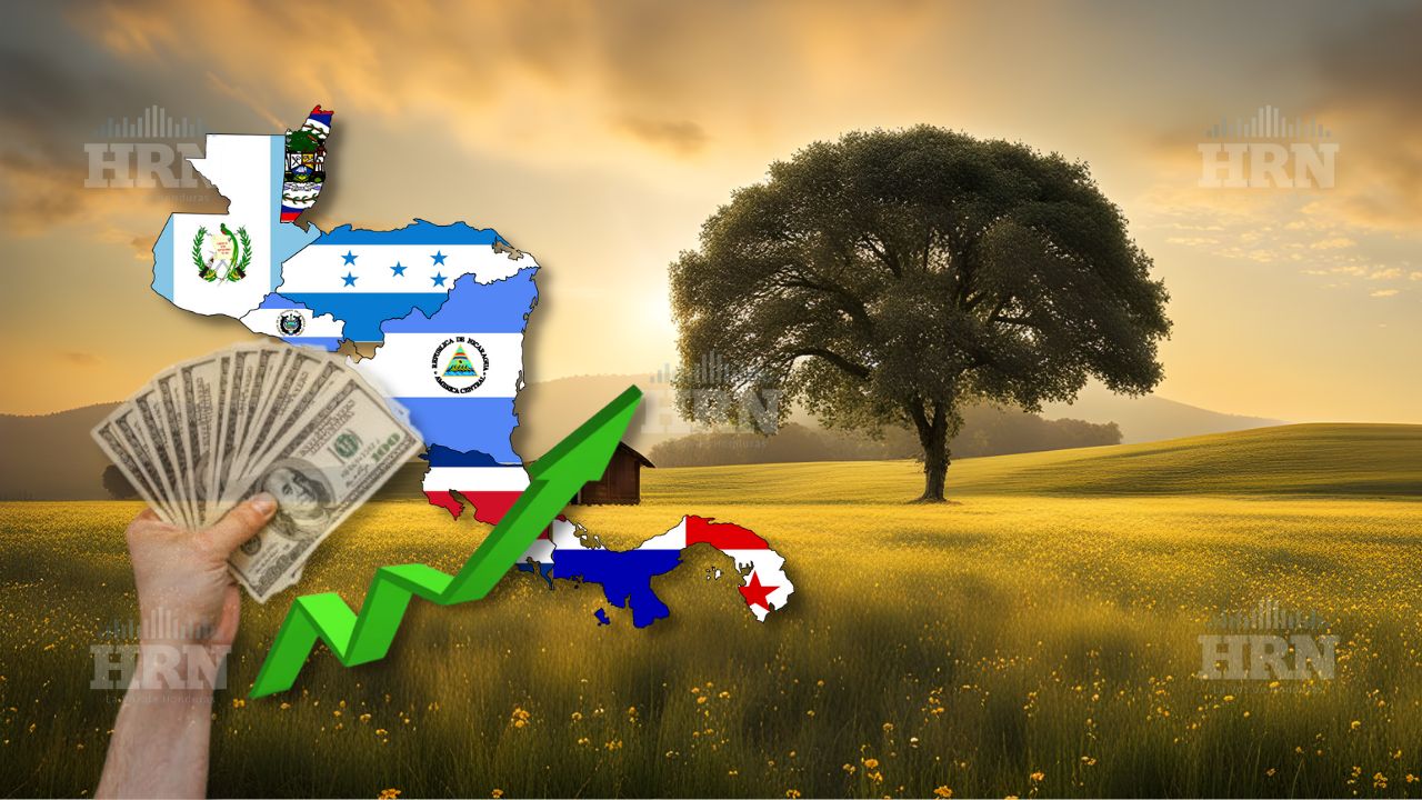 Honduras es el país de CA con las finanzas sostenibles más altas, según el IFS