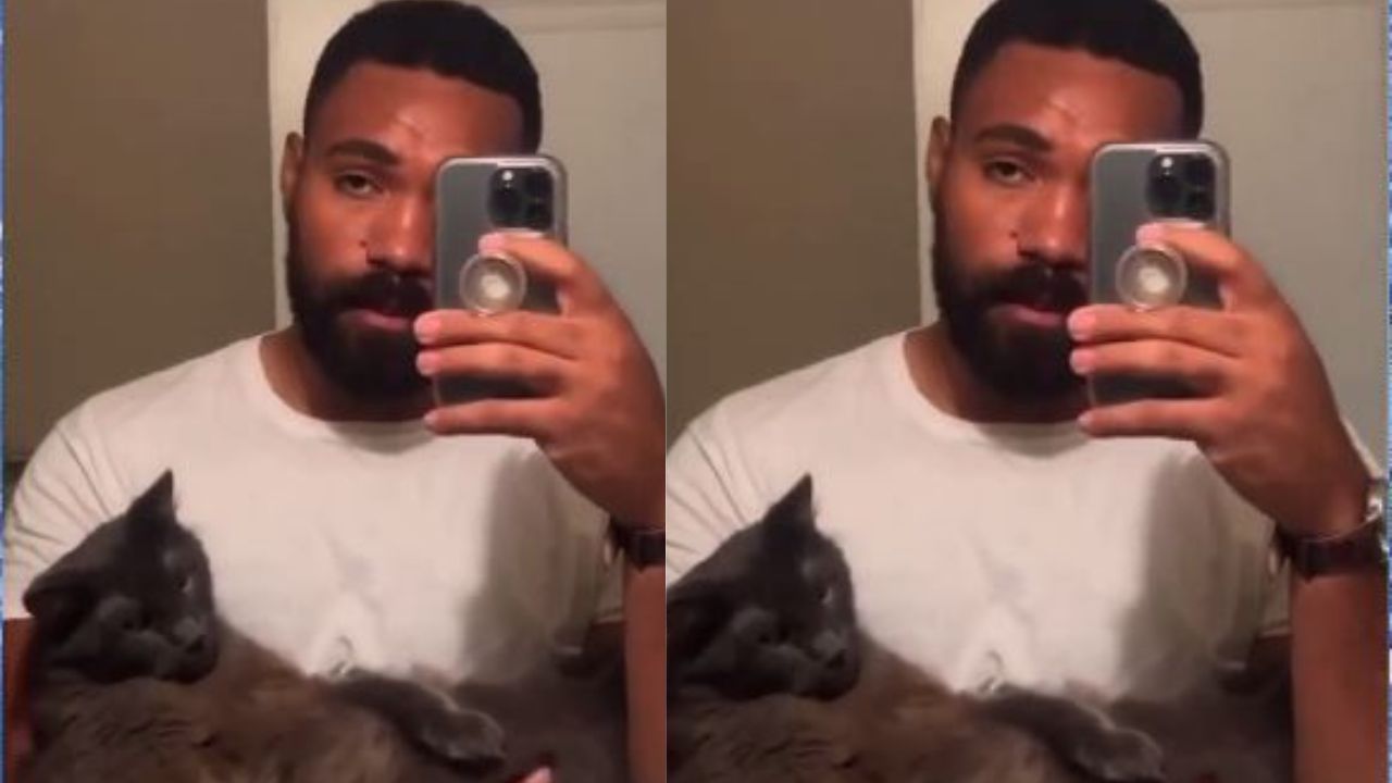 Imagen de Joven renunció en su primer día de trabajo por su gato, su jefe lo obligó a deshacerse del animal