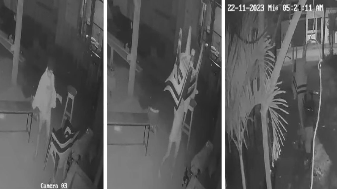 '¡Ya ni las sillas perdonan!', graban a joven robando dentro de una cantina en Olancho