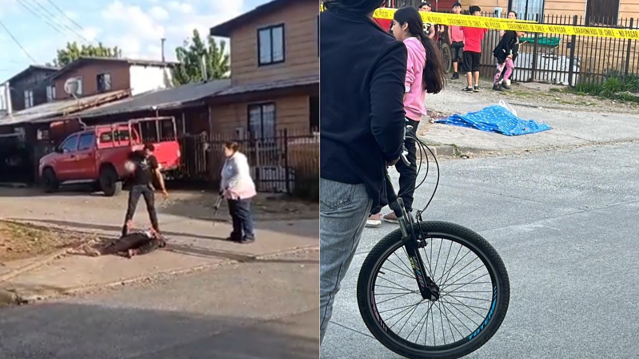 Hombre le quita la vida a su hermano en San José de la Mariquina Twitter video: esto se sabe del caso