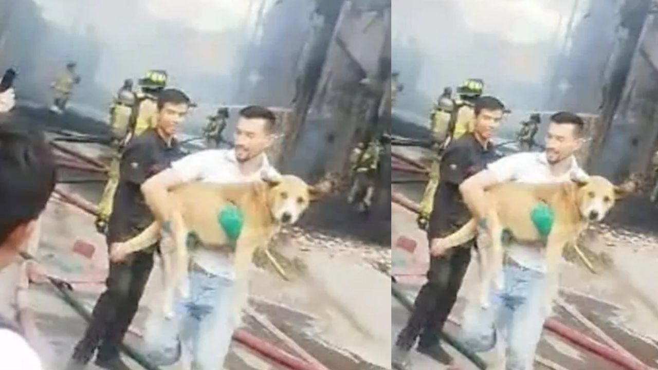 'Respeto y admiración', hombre se regresó al incendio de un hospital para salvar a un perro