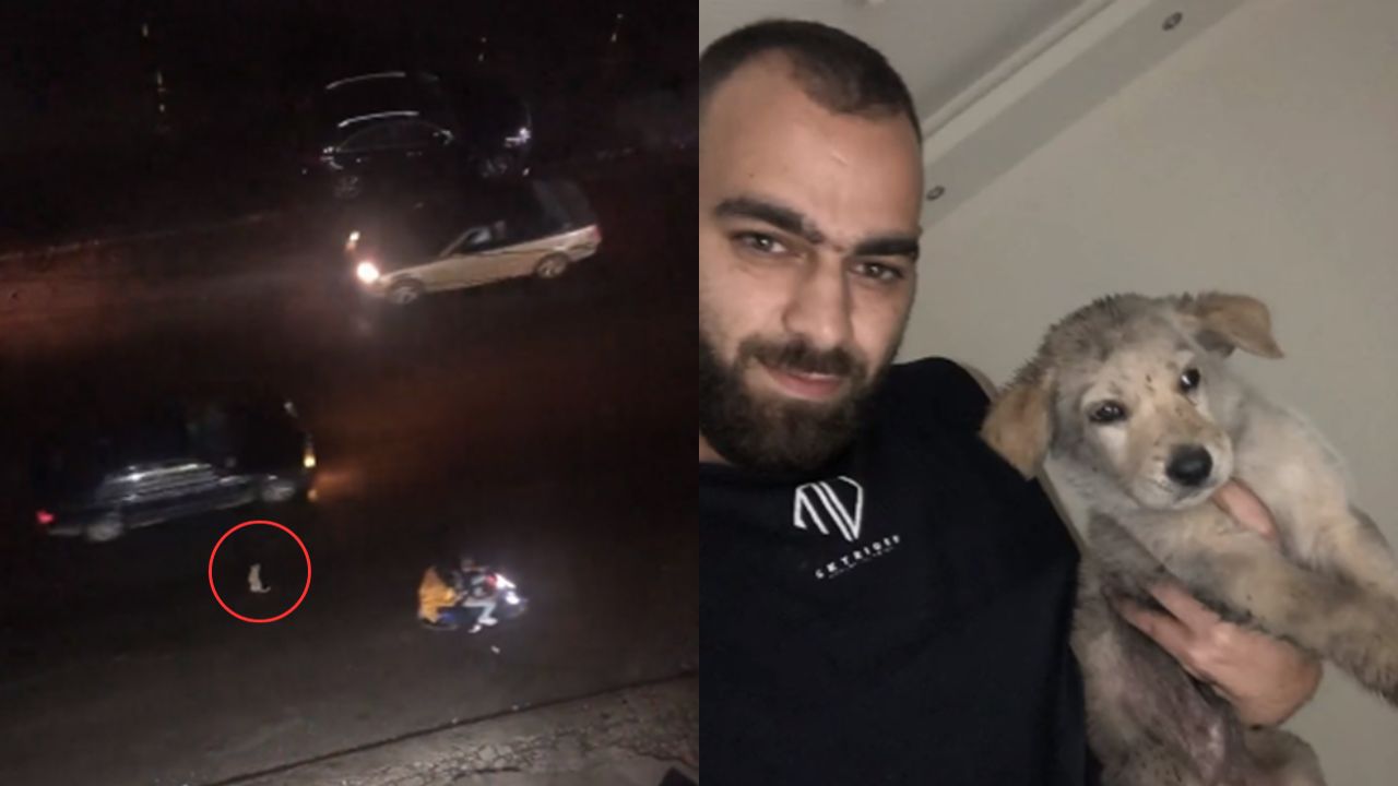 VIDEO: Hombre presencia a una mujer abandonando su perrito en una carretera y termina adoptándolo