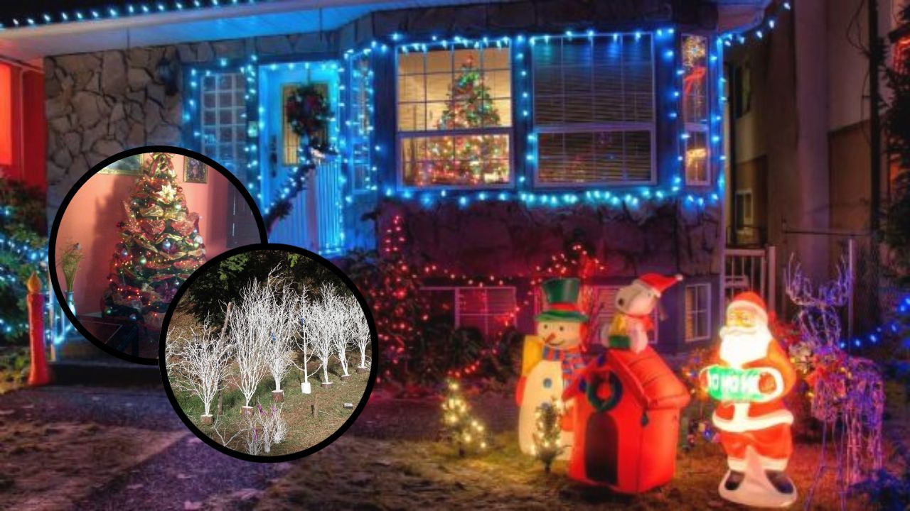 ¿Qué costo tiene adornar su casa para esta Navidad?