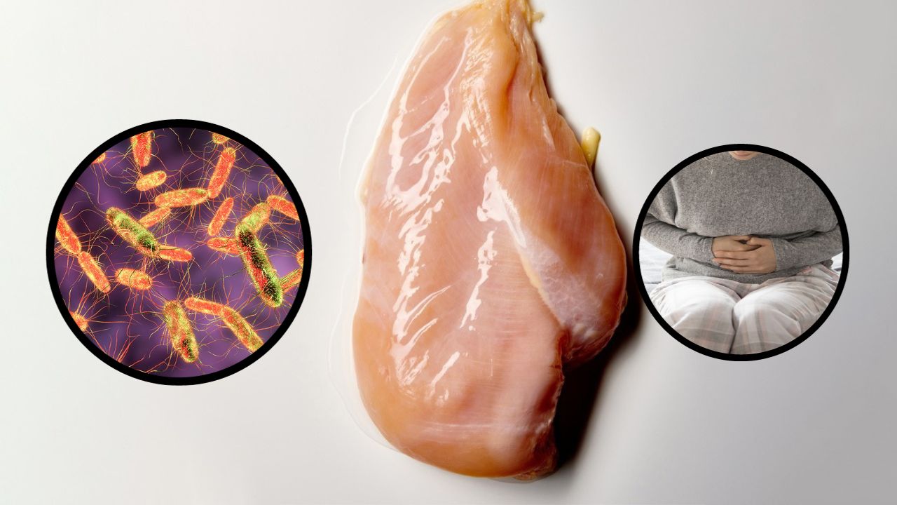 Imagen de ¿Por qué la salmonela enferma a tantas personas?