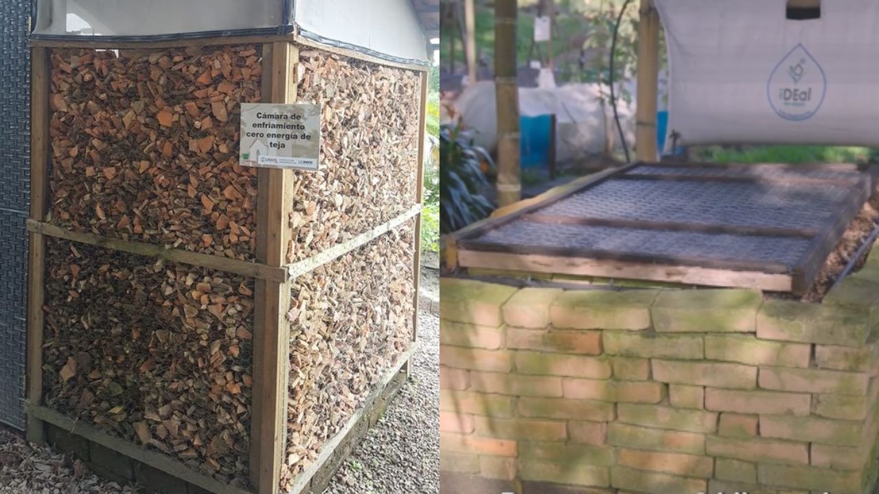 Imagen de Tecnologías innovadoras en la agricultura para una mayor eficiencia y calidad de los productos